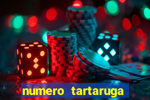 numero tartaruga jogo do bicho